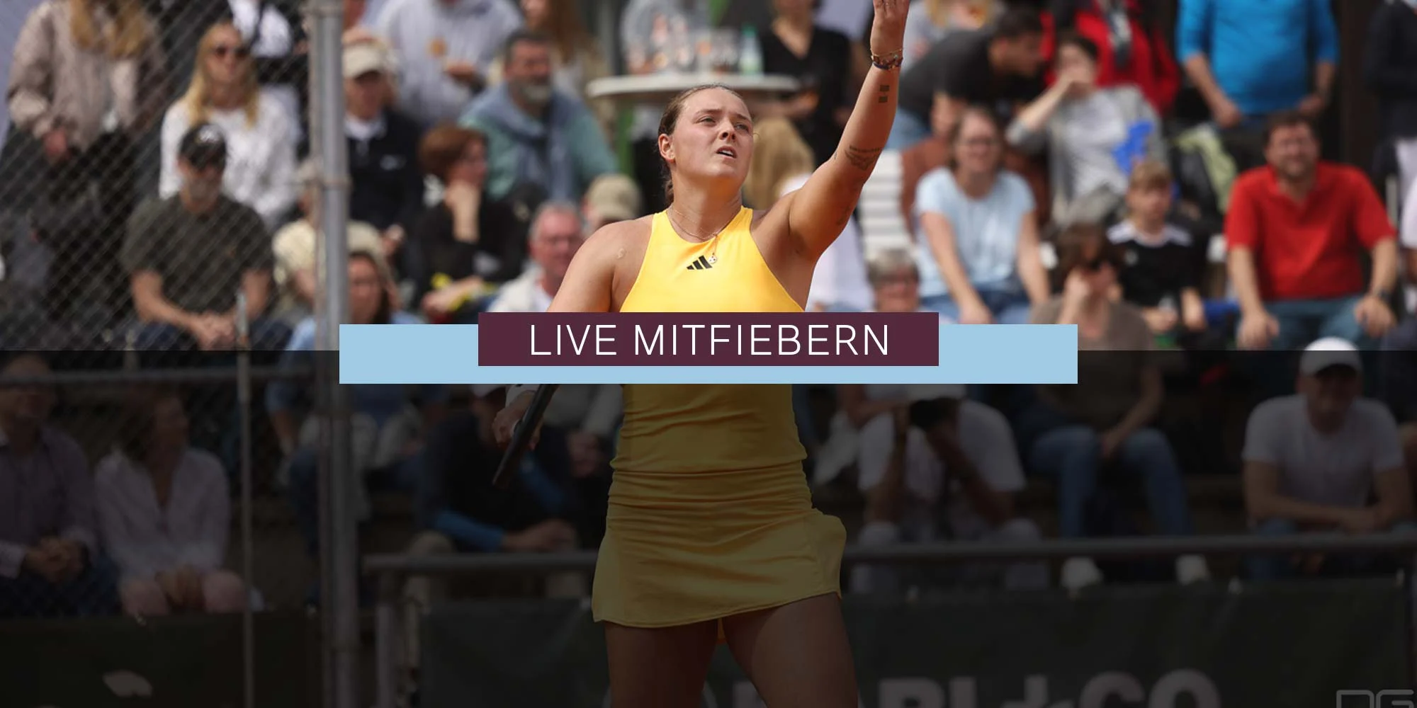 Vorschaubild vom Livestream